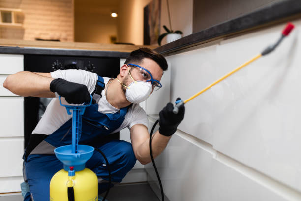 Best Pest Control for Restaurants  in Bargaintown, NJ
