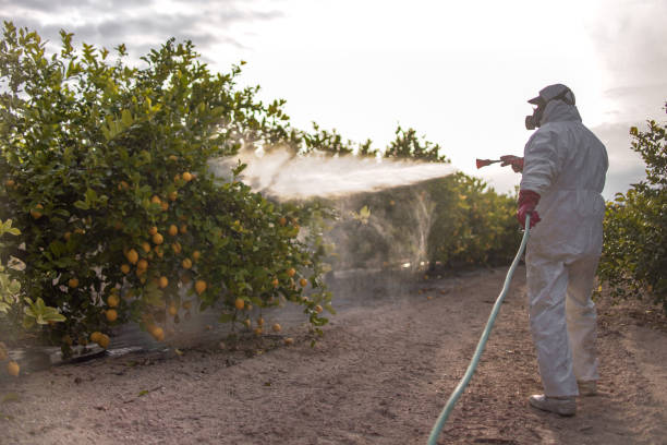 Best Pest Control Treatment  in Bargaintown, NJ