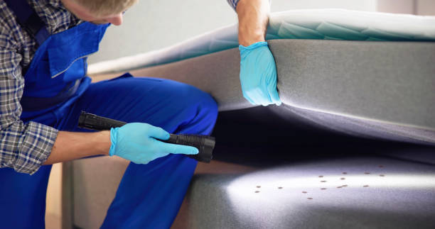 Reliable Bargaintown, NJ Pest Control Solutions